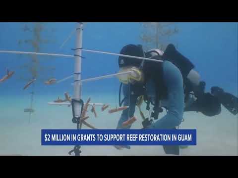 $2M in Grants to Support Reef Restoration in Guam