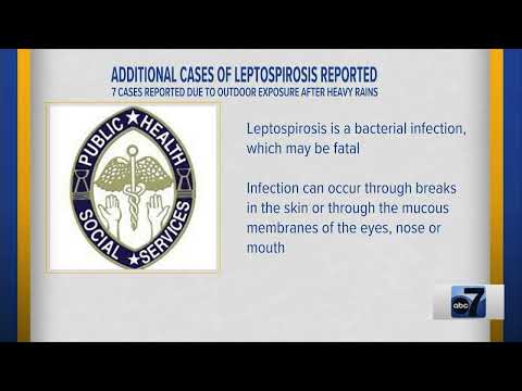 Additional Cases of Leptospirosis Reported