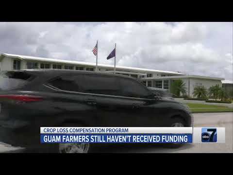 Guam Farmers Still Haven’t Received Funding from Crop Loss Compensation Program