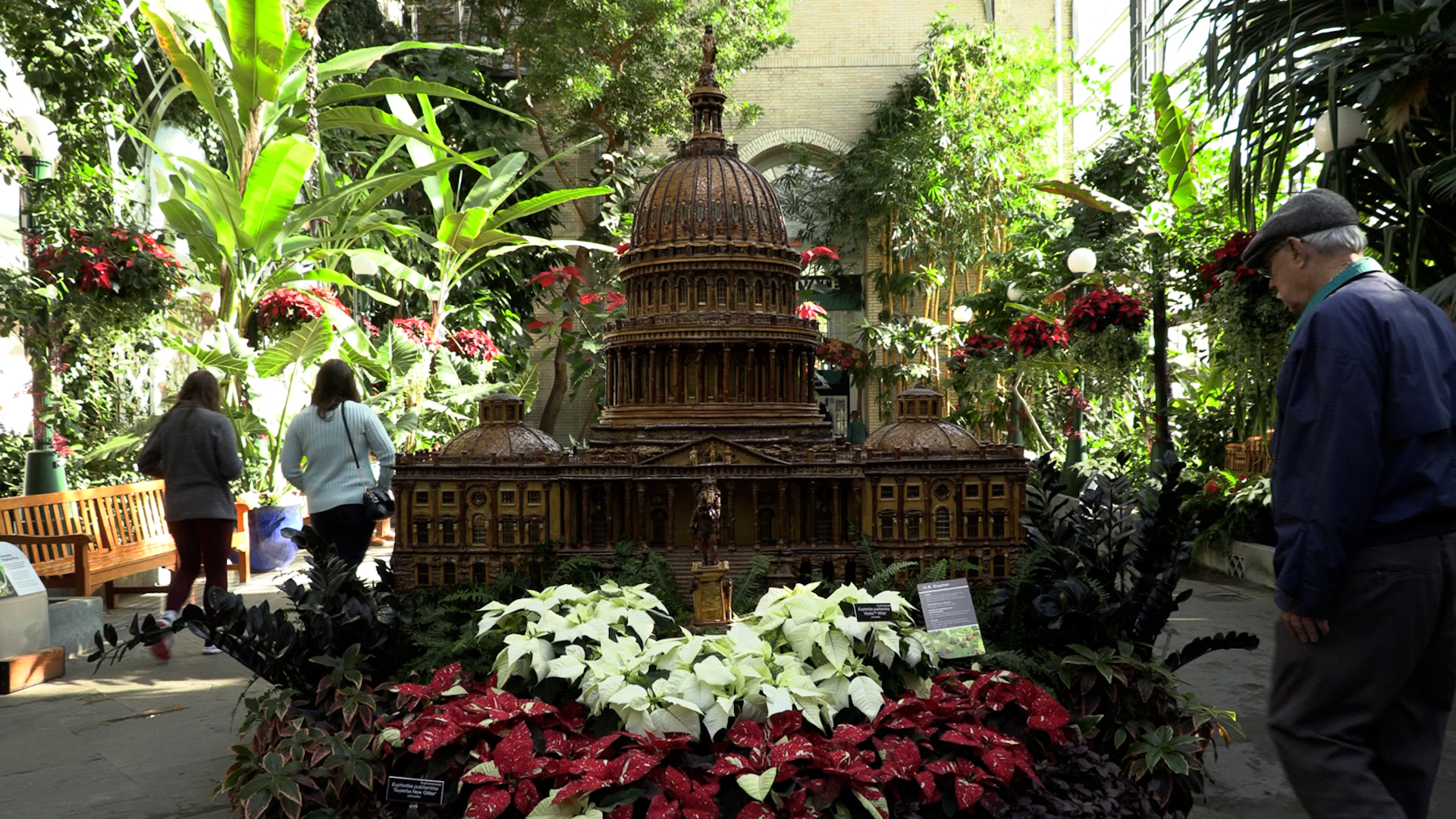 US Botanic Garden Unveils “Season’s Greenings” in Holiday Exhibit