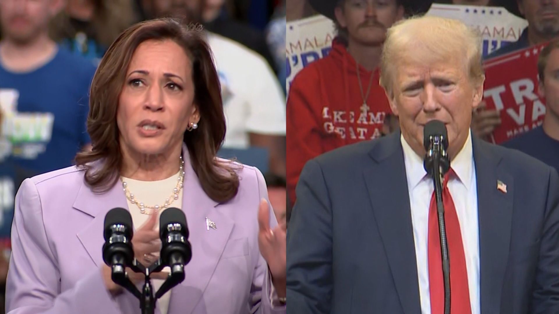 New Polling Shows Harris Leads Trump in Key Battleground States