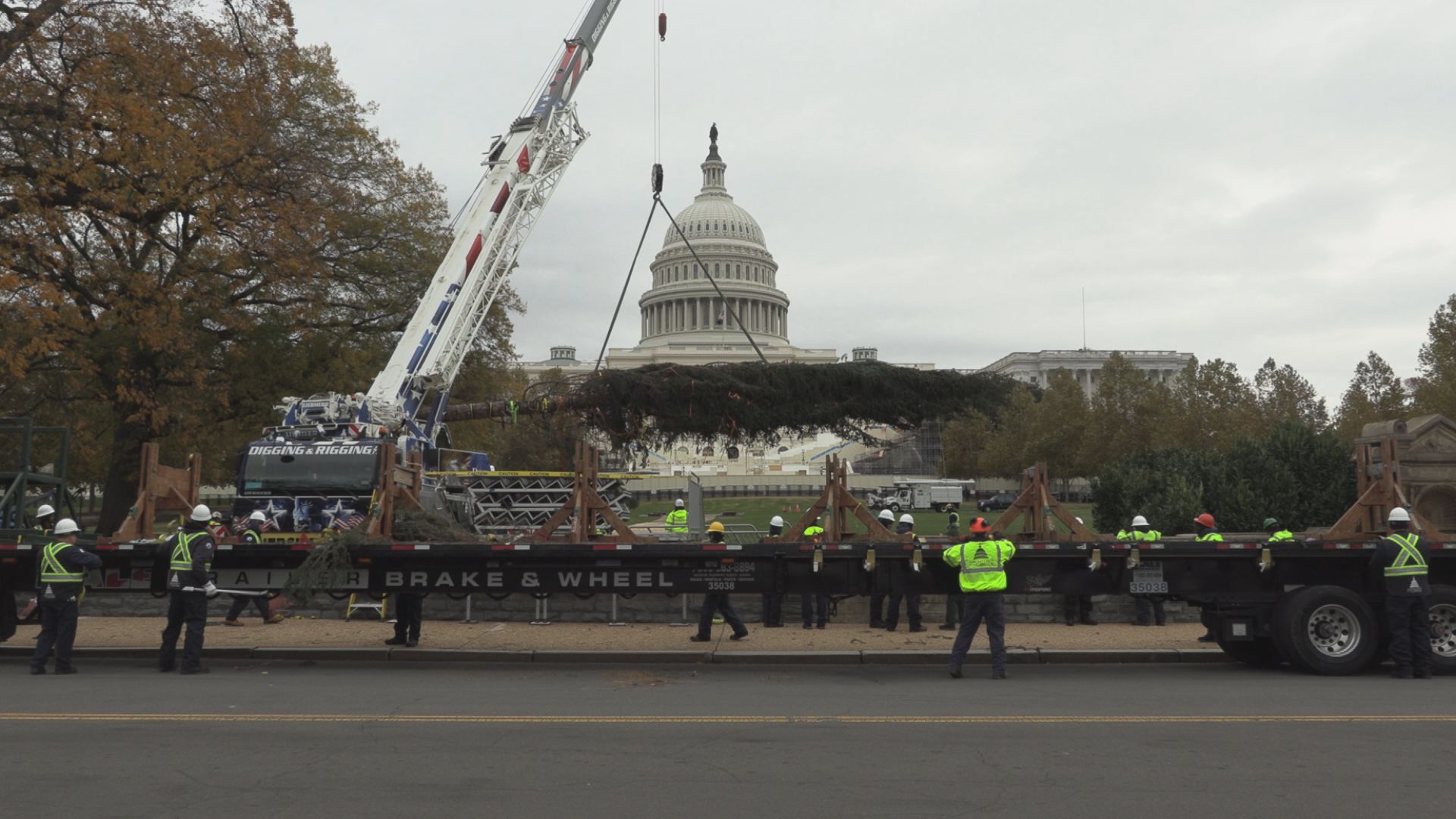 “The People’s Tree” Arrives at the US Capitol Ahead of the Holidays