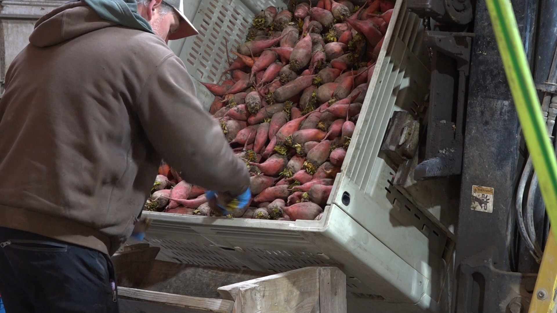 What Mass Deportations Could Mean for the Agriculture Industry