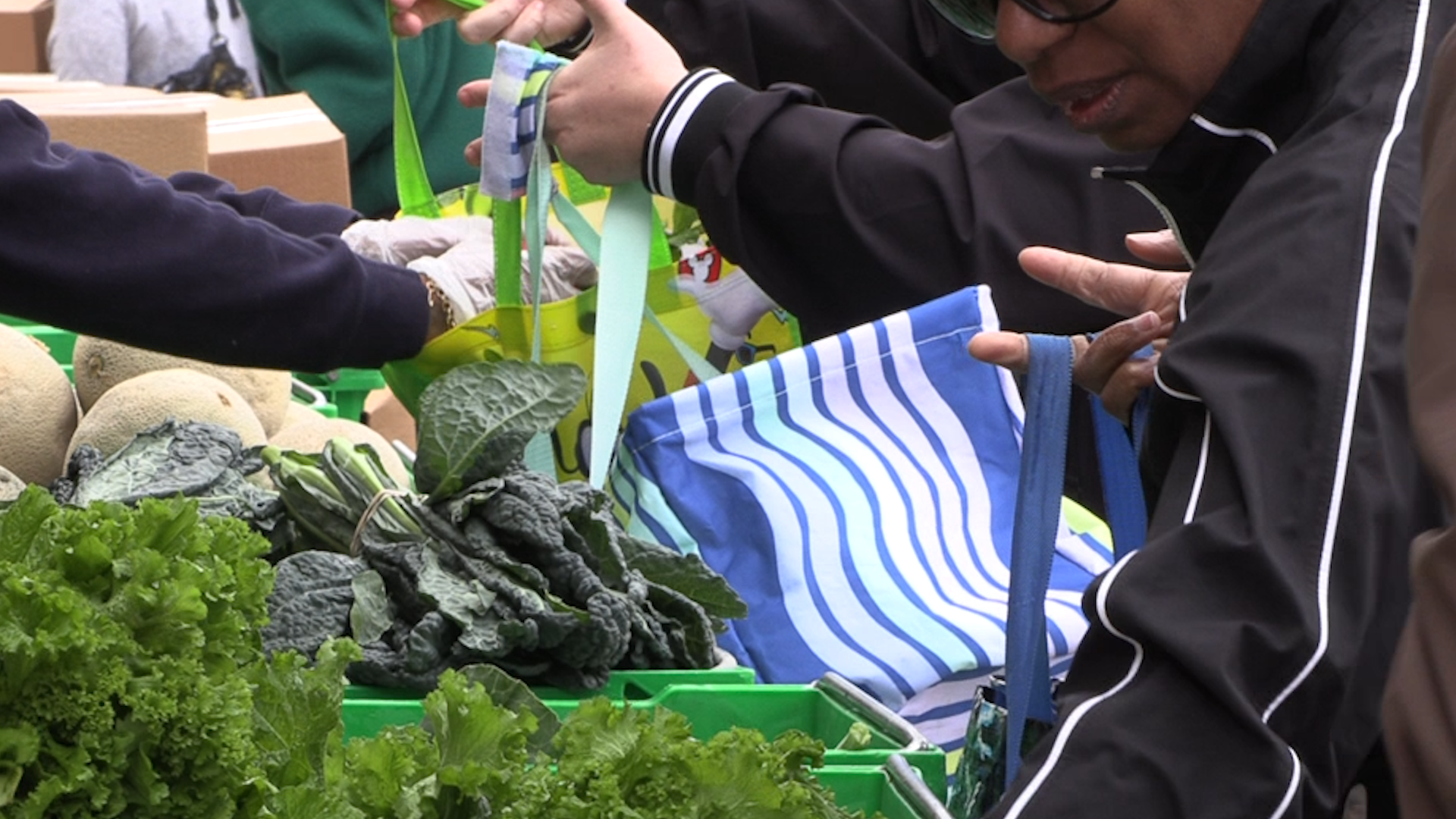 Food Banks Step in to Feed Federal Workers and Families in Capital Region 