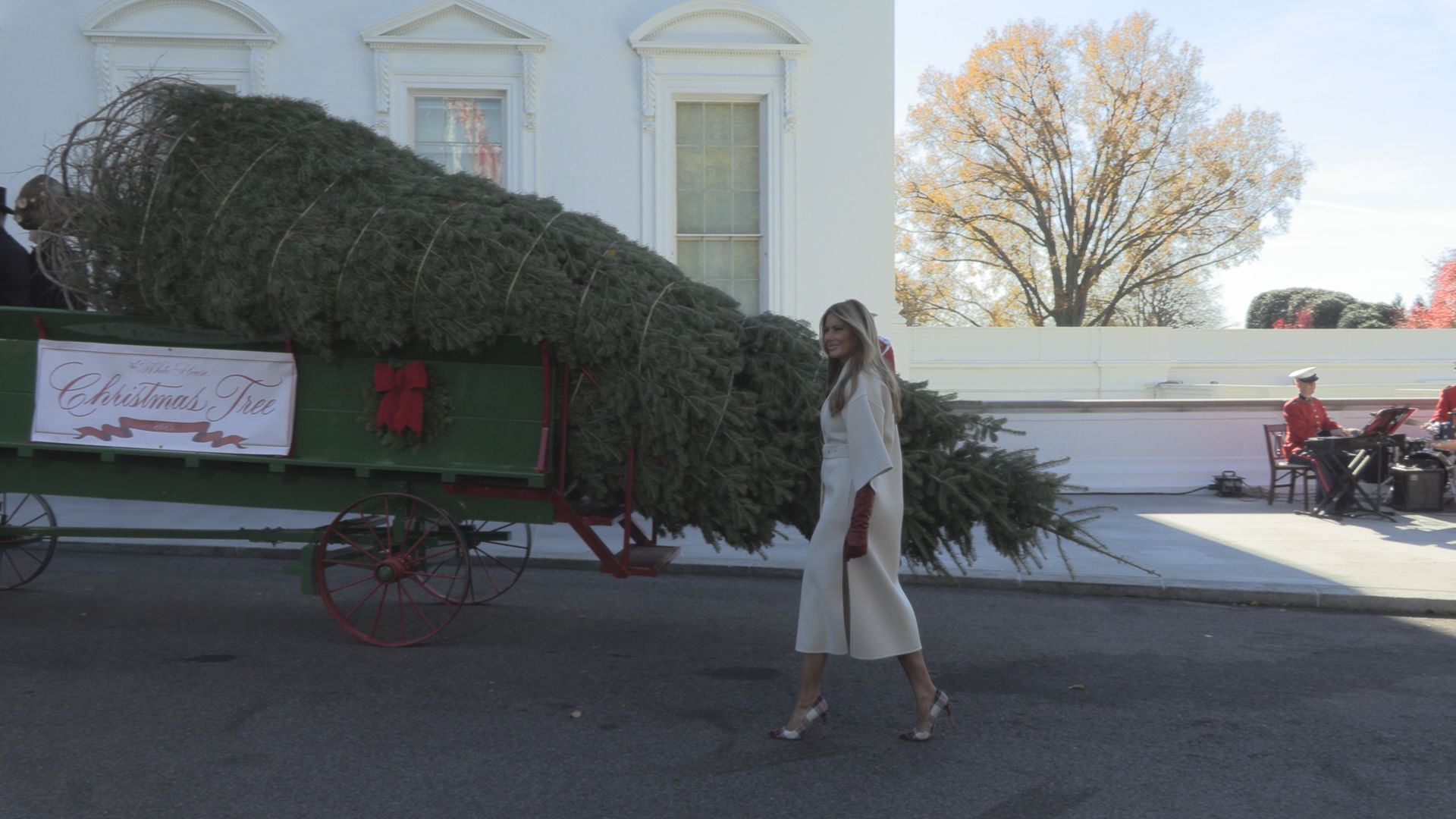 White House Christmas Tree Arrives