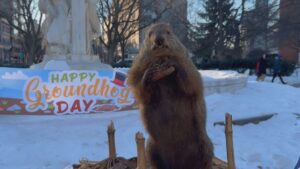 Washington’s “Potomac Phil” Predicts Additional Weeks of Winter Weather and Months of Political Gridlock