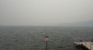 Wildfire Smoke Sparks U.S.-Canada Trade Tensions