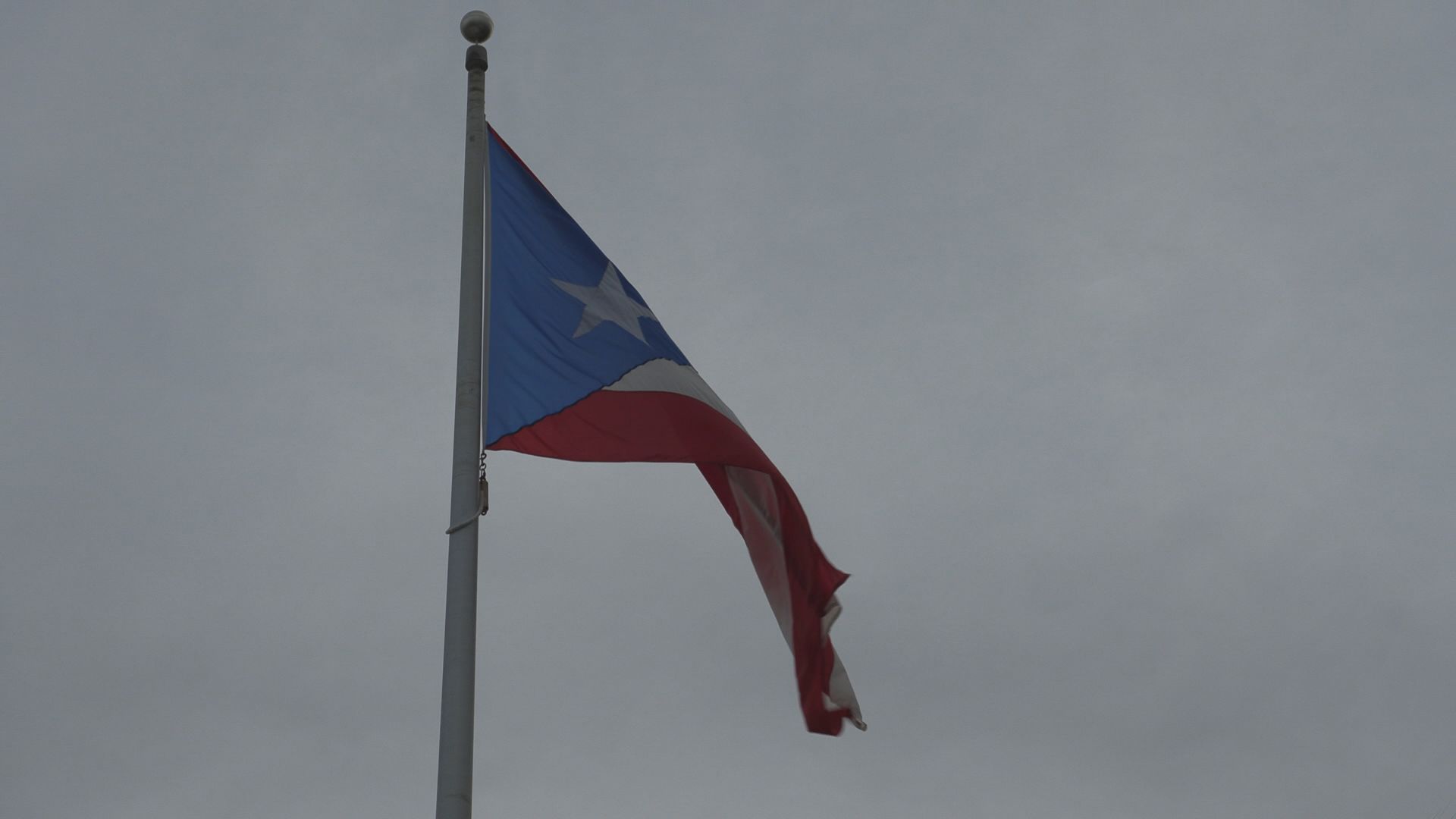 Congressional Members Seek Answers, Accountability Following Alleged Forgery in Puerto Rican Energy Contract